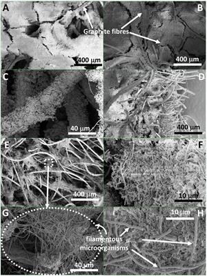 Critical Biofilm Growth throughout Unmodified Carbon Felts Allows Continuous Bioelectrochemical Chain Elongation from CO2 up to <mark class="highlighted">Caproate</mark> at High Current Density